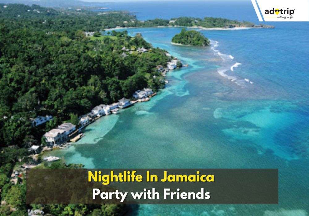 10 Best Nightlife In Jamaica